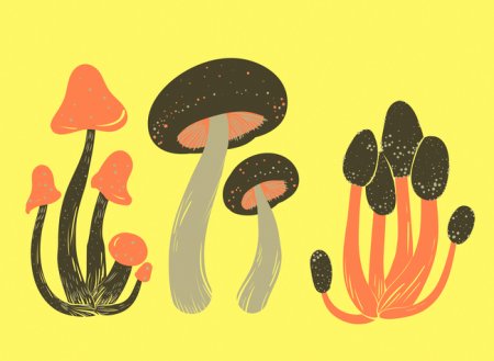 Европейский день грибов 26 сентября