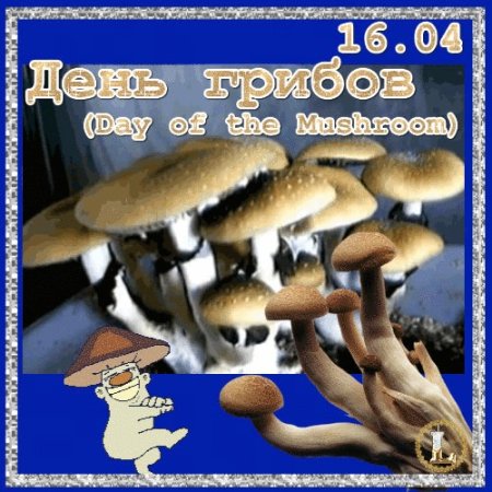 Открытка 16 апреля день грибов
