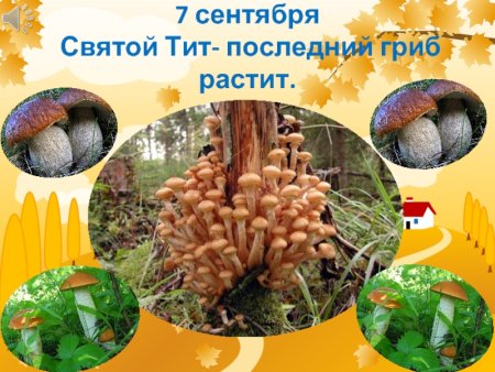 Тит Листопадник народный праздник
