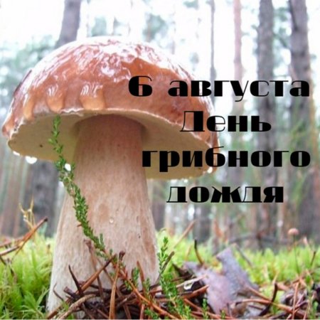 День грибного дождя 6 августа