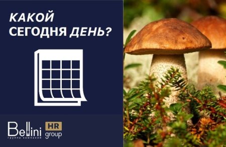 15 Октябрь день гриба