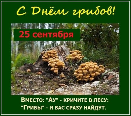 Европейский день грибов 25 сентября