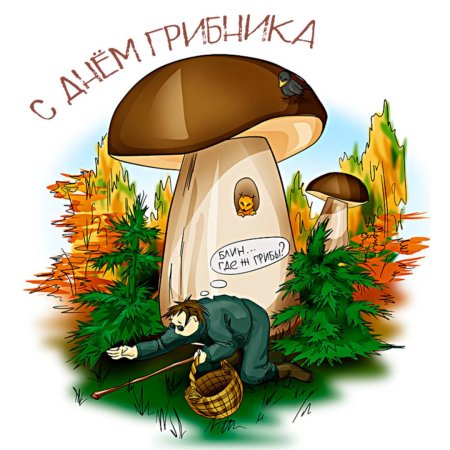 Открытка "грибы"