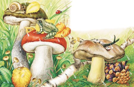 Сладков Лесные силачи