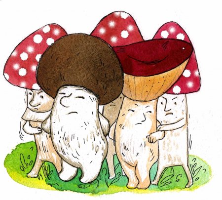 Царство грибов