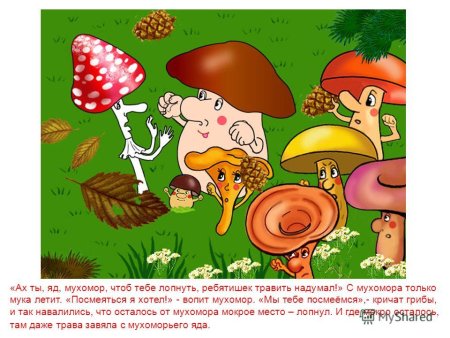 Сказка о грибах для дошкольников