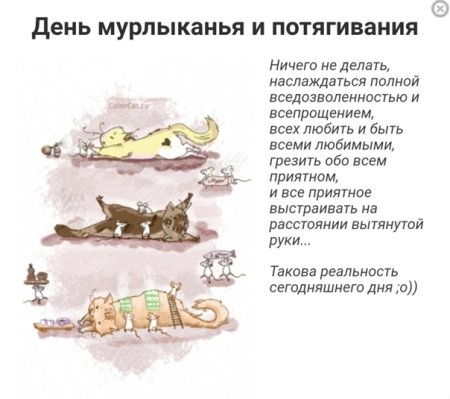 День мурлыканья и потягивания