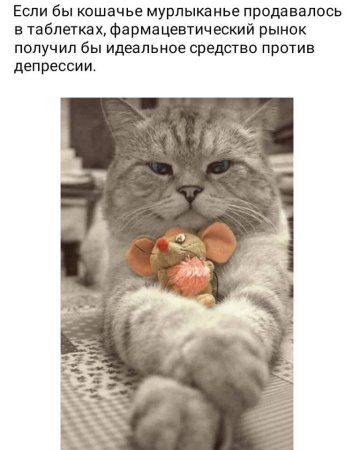 Кот в депрессии