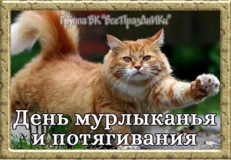 День мурлыканья и потягивания