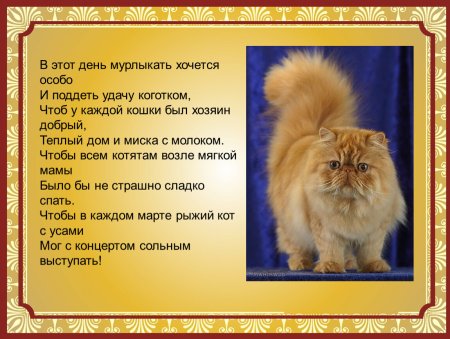 Стихи ко Дню кошек