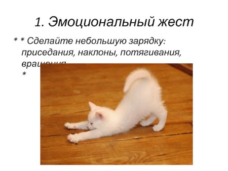 День мурлыканья и потягивания