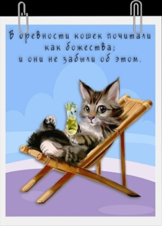 День мурлыканья и потягивания 30 сентября картинки