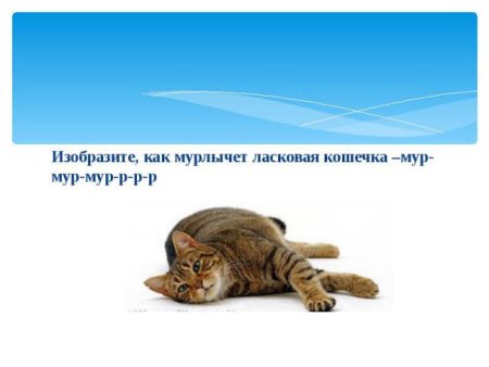 Кот Мур Мур стихотворение