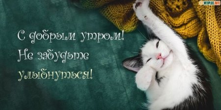 Проснись и улыбнись