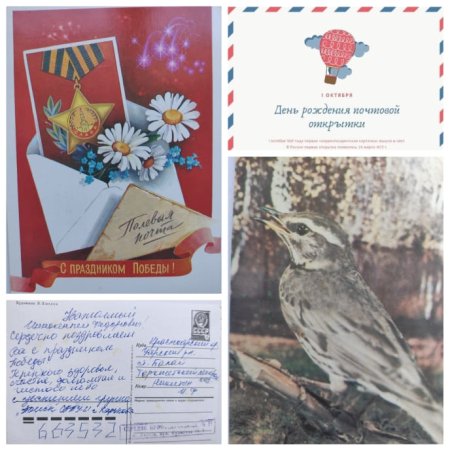 День рождения почтовой открытки