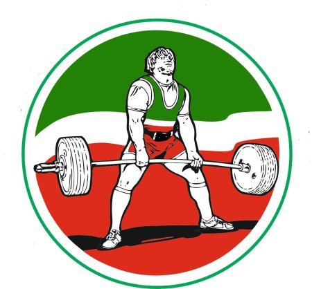 Виды силовых видов спорта