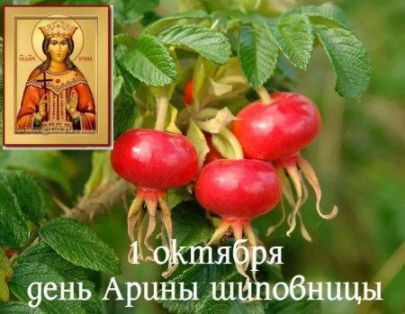 Арина Шиповница народный праздник