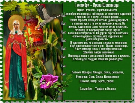 1 Октября – Арина-журавлиный лёт, Арина Шиповница