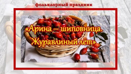 Арина Шиповница народный календарь