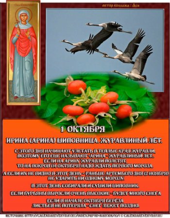 Арина Шиповница 1 октября народный календарь