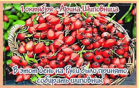 Арина Шиповница народный праздник