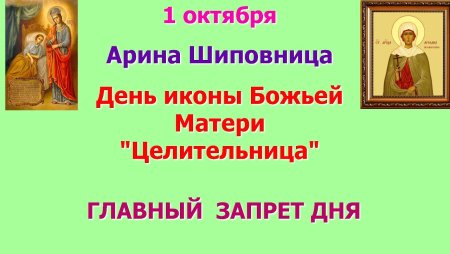 Арина Шиповница икона