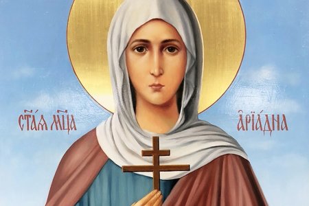 Арина Шиповница