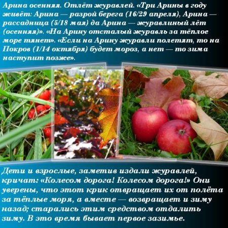 1 Октября праздник Арина Шиповница