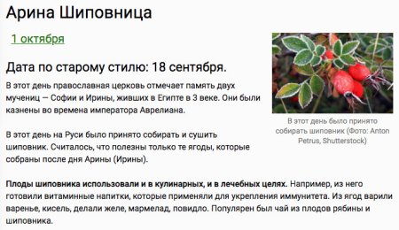 Арина Шиповница 1 октября народный календарь