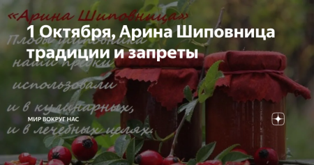 Арина Шиповница 1 октября