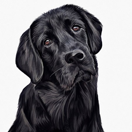 Рисунок двух черных собак