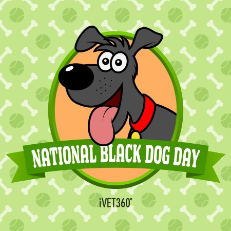 День черной собаки