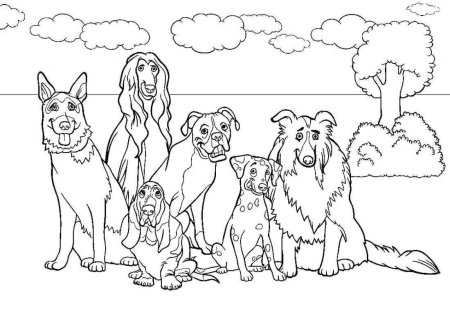 Овчарка раскраска