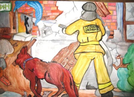 ВДПО рисунки