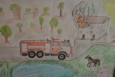 Рисуноокпожарнгй собаки