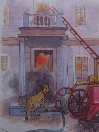 Иллюстрации к рассказу пожарные собаки л Толстого