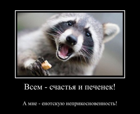 Международный день енотов