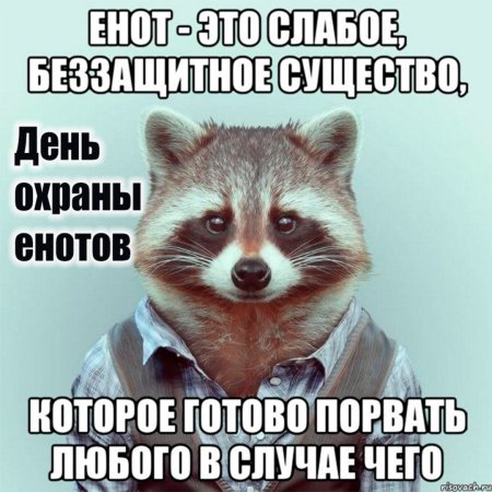 Выздоравливай Енотик картинки