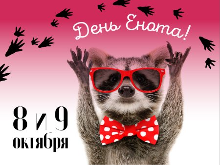 День енота