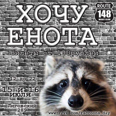 Всемирный день енота