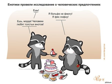 Открытки с енотами прикольные