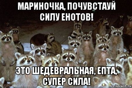 Сила енота