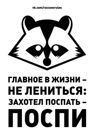 Еноты с надписями