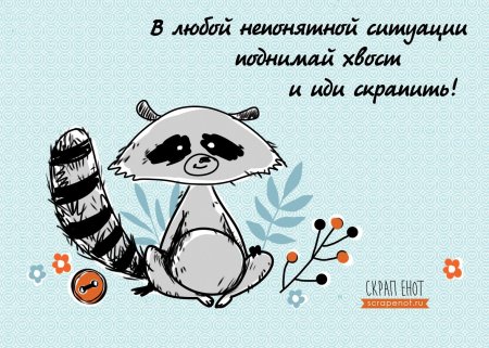 Открытка с енотом с днем рождения