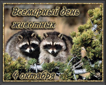 Всемирный день животных поздравления