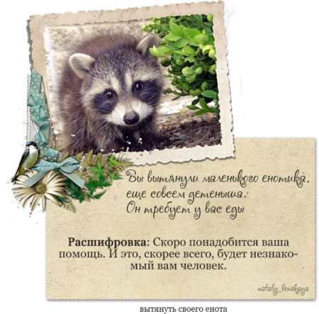 Поздравление с енотом