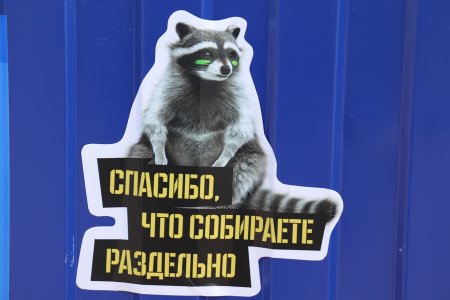 Наша забота а не енота