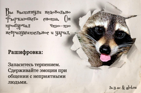 Енот 23 февраля