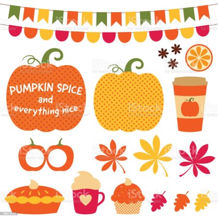 Spice and everything nice teen