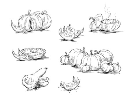 Тыква набросок